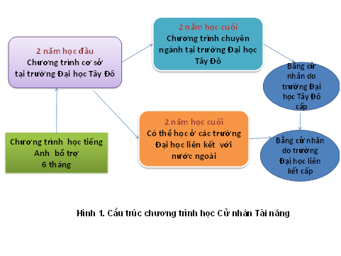 ctrinh cu nhan tai nang